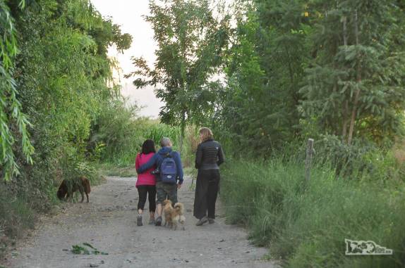 Caminhando com o Pablo e a Andrea em estrada rural próxima a casa deles, na região de Rengo, ao sul de Santiago, no Chile